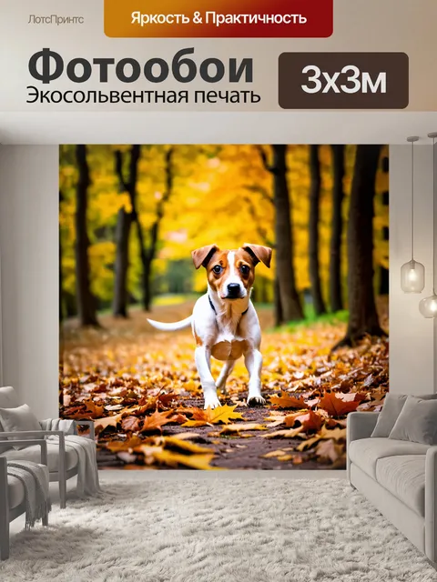 Фотообои джек-рассел-терьер исследует лес в золотых оттенках осени, среди падающих листьев