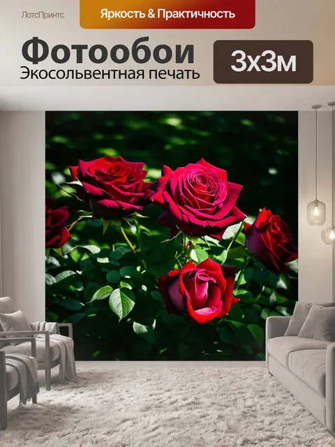 Фотообои розы в художественном стиле, отображающие контраст между светом и тенью