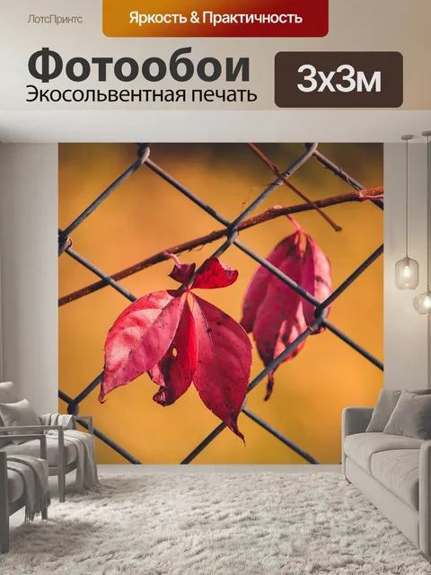 Фотообои Листья