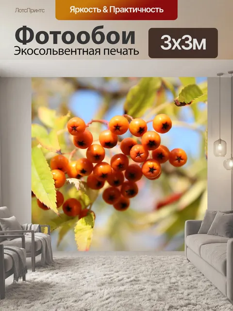 Фотообои Фрукты