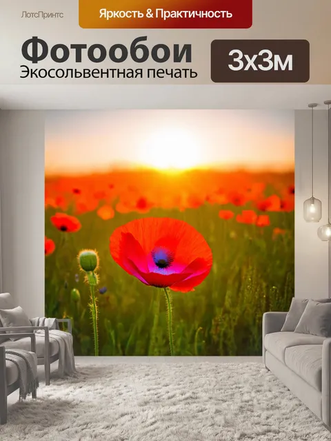 Фотообои мак, расцветающий на фоне заката, яркие цвета лепестков и мягкий свет, окружающий его в полях