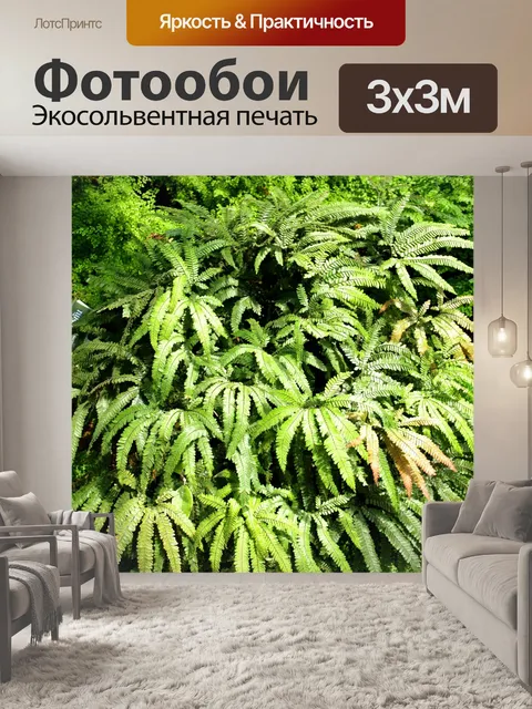 Фотообои Зеленые листья растения папоротника