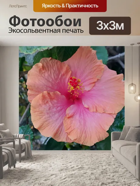 Фотообои Цветок гибискуса