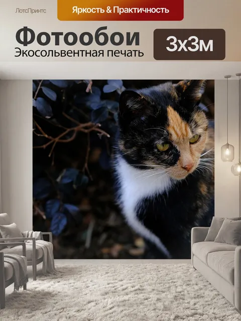 Фотообои Кошка