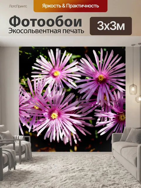 Фотообои Розовые цветы vygie
