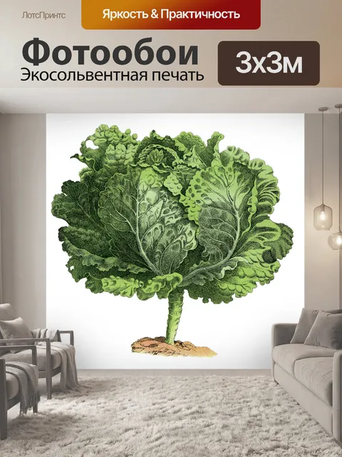 Фотообои Салат Винтаж Овощное Искусство