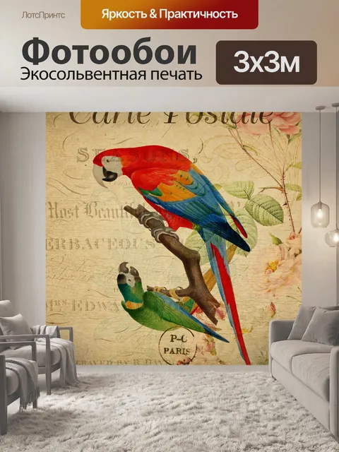 Фотообои Открытка Ара Винтаж Птицы