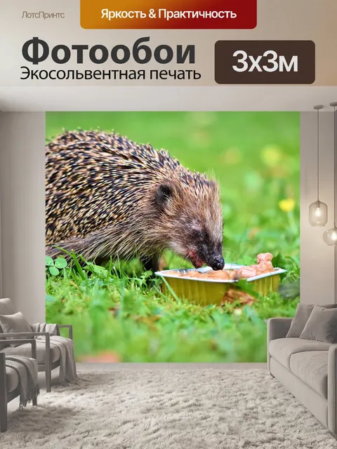 Фотообои Ежик
