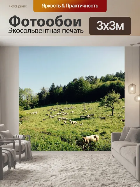Фотообои Овец