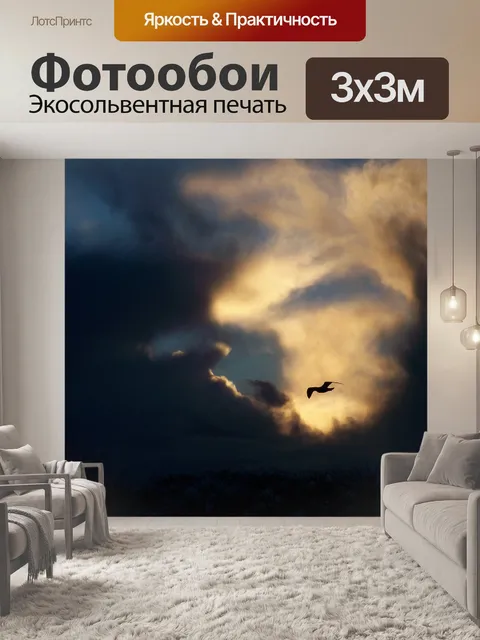 Фотообои Чайка