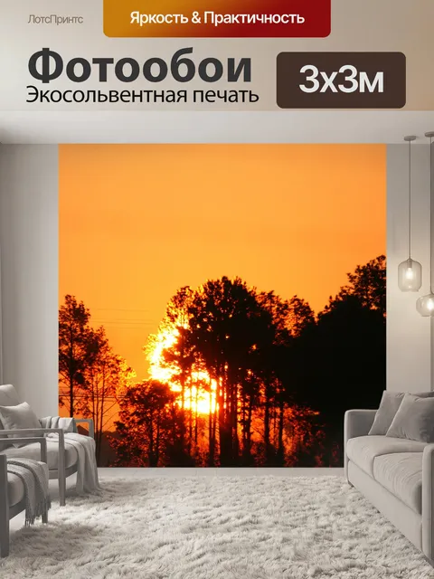 Фотообои Славный заходящее солнце