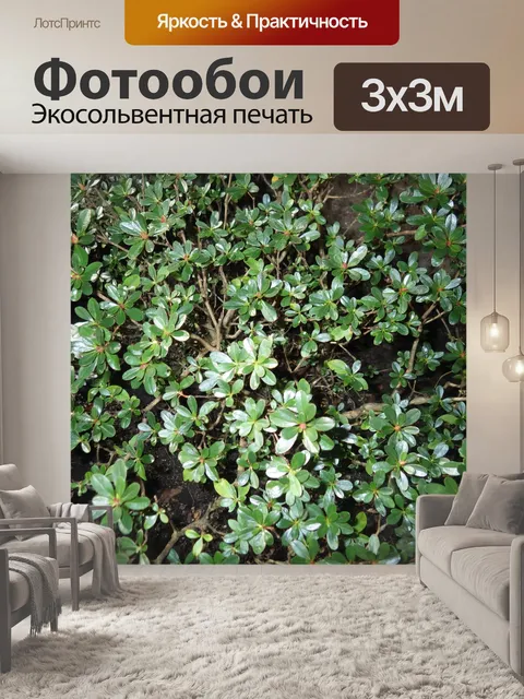 Фотообои листва
