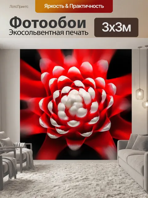 Фотообои Бромелию