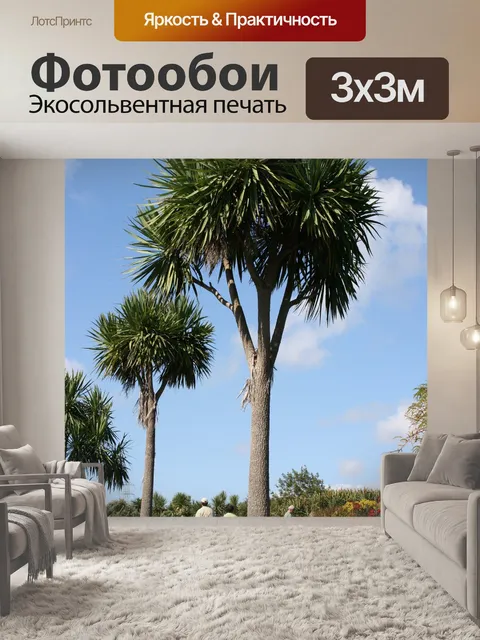Фотообои Пальмовые деревья