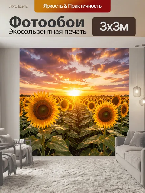 Фотообои Поле подсолнухов на закате