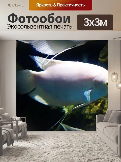 Фотообои Аквариум с рыбками в Срисакете, Таиланд