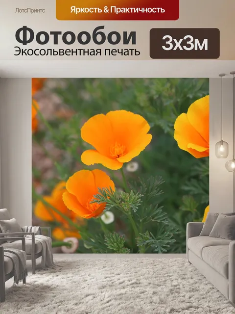Фотообои Цветы
