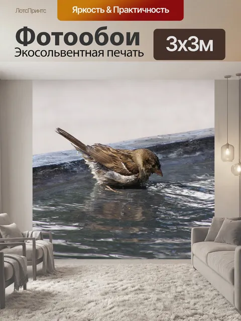 Фотообои Птица