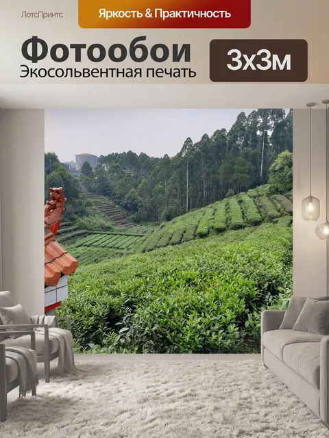 Фотообои Китай