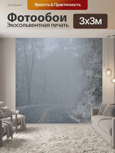 Фотообои Снежная дорога