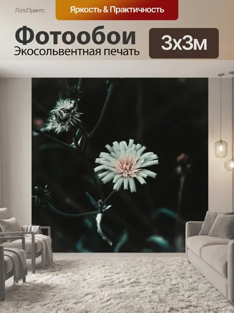 Фотообои Цветок