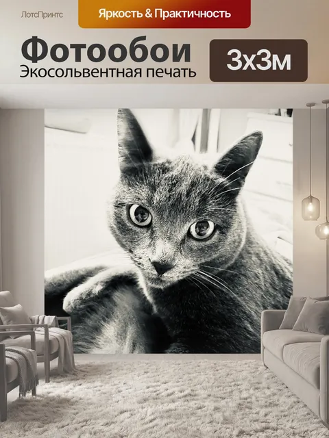 Фотообои Кошка