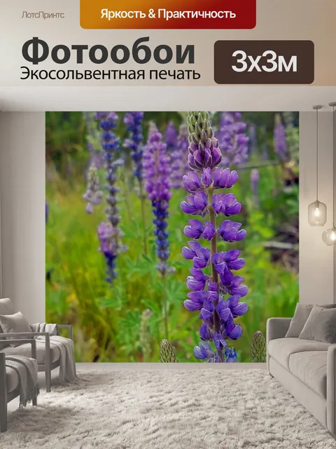 Фотообои Люпин