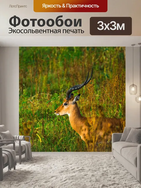 Фотообои Сафари