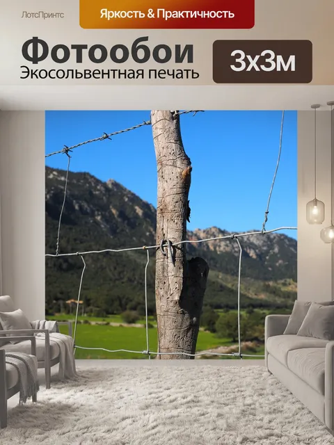 Фотообои Забор из колючей проволоки