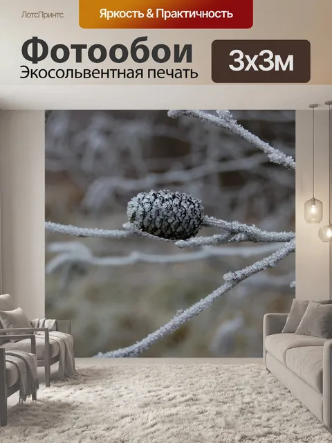 Фотообои Сосновая шишка