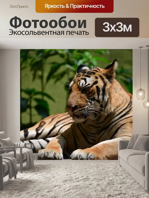 Фотообои Тигр