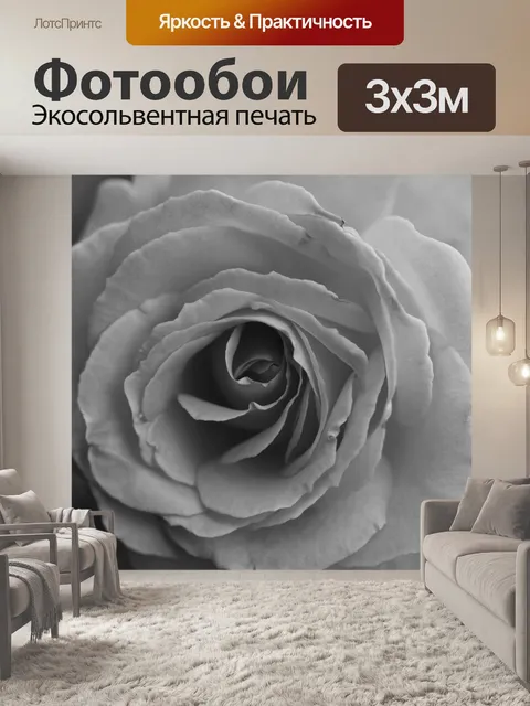 Фотообои Роза - оттенки серого