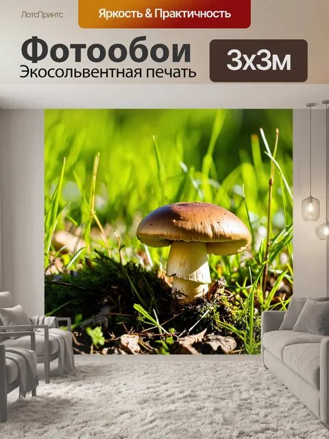 Фотообои грибы подосиновик, под ярким солнцем, с четким изображением шляпки и ножки, на фоне размытых зелёных трав