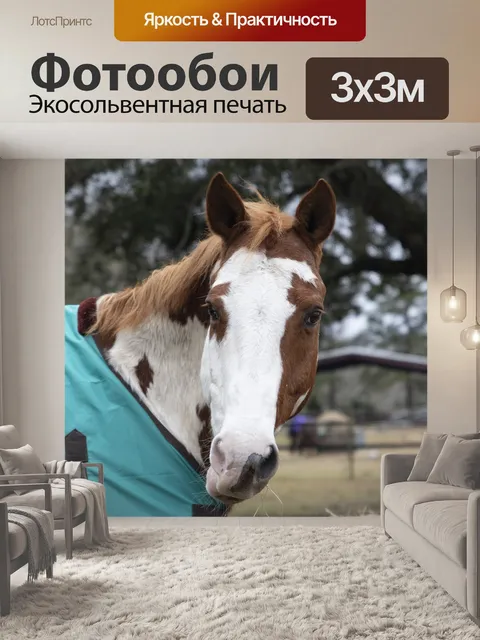Фотообои Краска лошадь