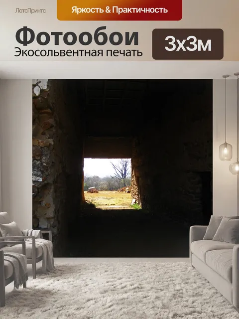 Фотообои выход на противоположной стороне сарая