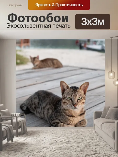 Фотообои Кошка