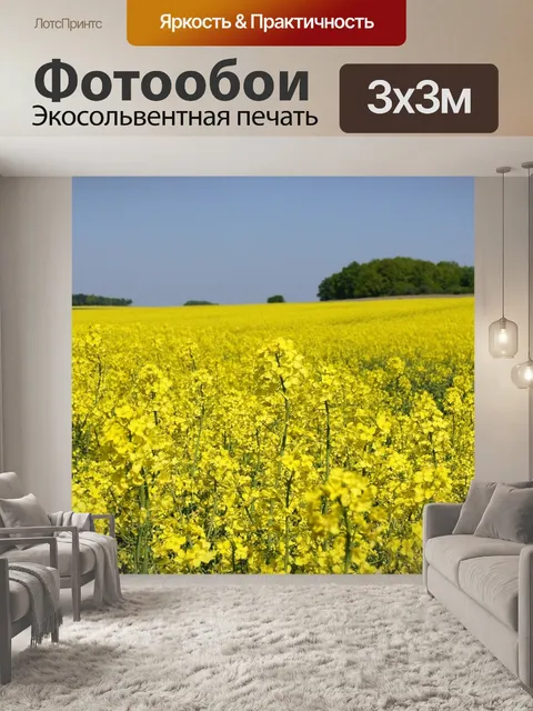 Фотообои Рапс