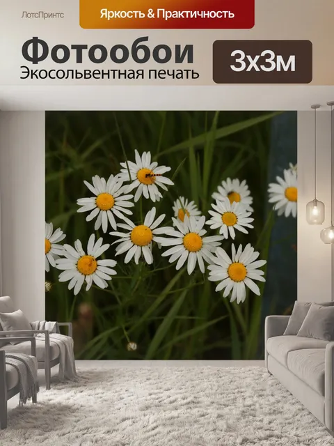 Фотообои Белый цветок