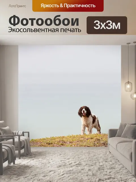Фотообои Собака по океану