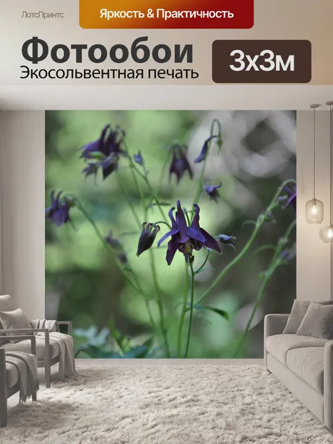 Фотообои Цветок
