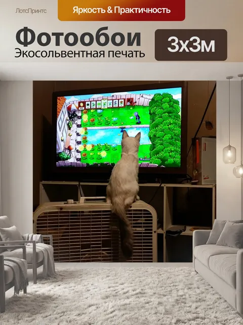 Фотообои Зрелищный вид спорта