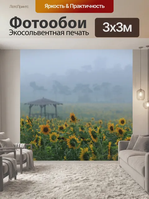 Фотообои Подсолнечник