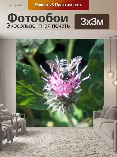 Фотообои Fly