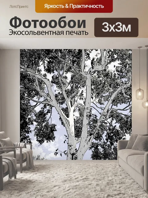 Фотообои Линия эскиз платана