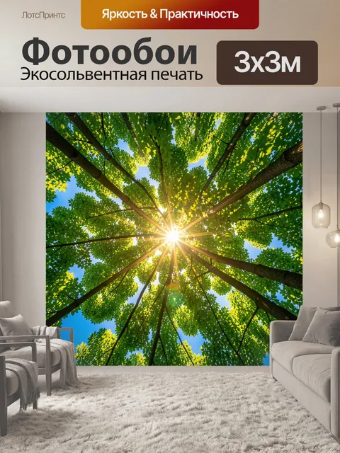 Фотообои Кроны деревьев и солнечные лучи
