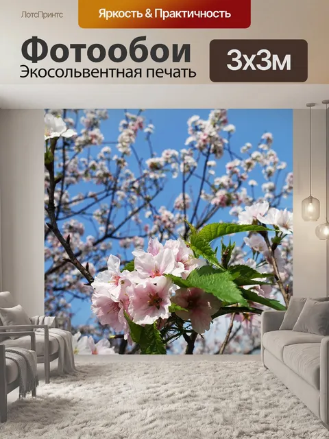 Фотообои Сакура