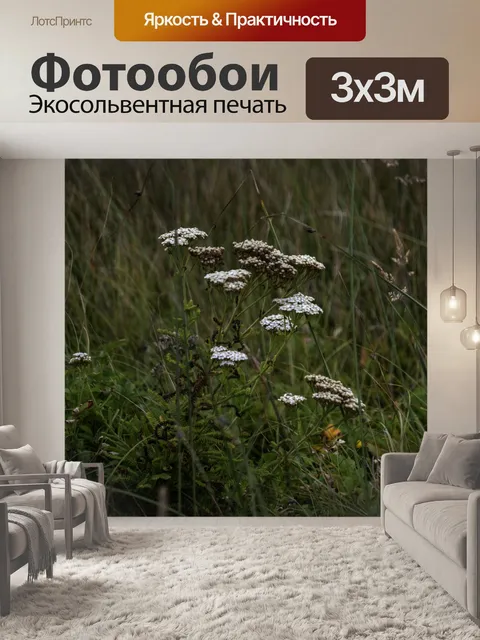 Фотообои Маленькие белые букеты полевых цветов