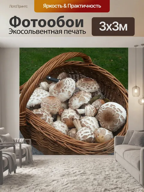 Фотообои Корзина с грибами