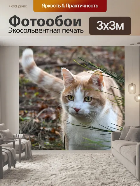 Фотообои Кошка