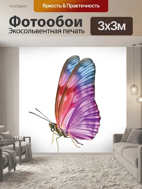 Фотообои Бабочка